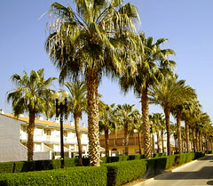 Castellon